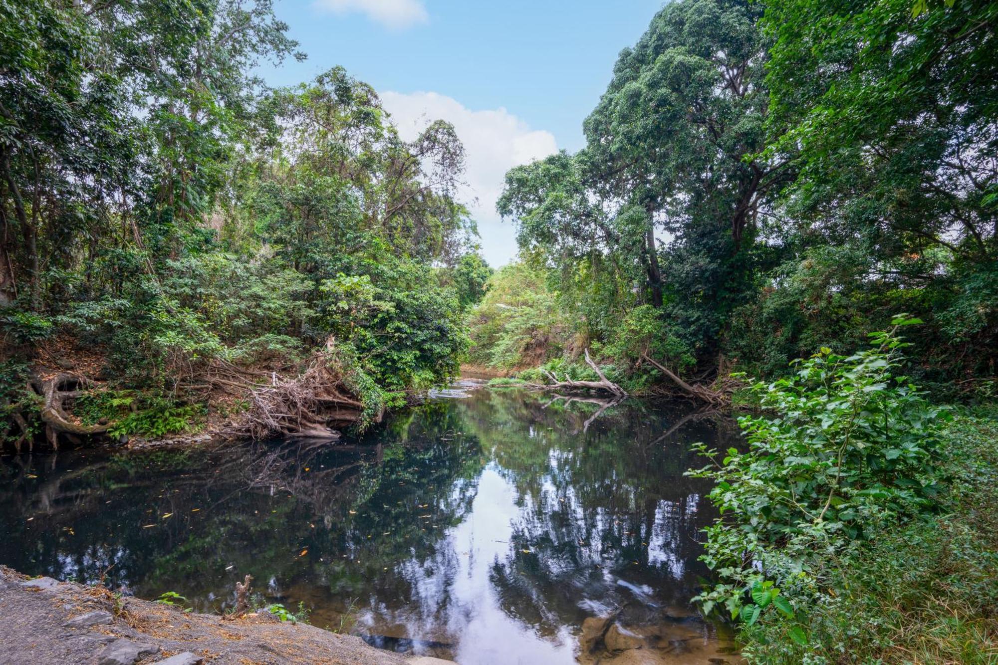 Tasman Holiday Parks - Cairns Cool Waters Exterior foto